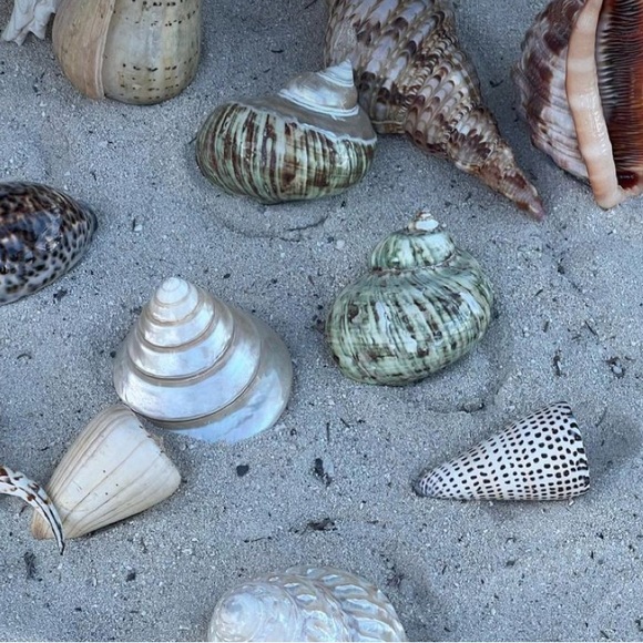 Meet your Posher, Evin - Picture 1 of 1